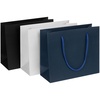Пакет бумажный Arc S, синий с логотипом