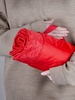 Плед для пикника Comfy, красный с логотипом