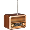 Bluetooth-колонка с радио Beatnik, коричневая с логотипом