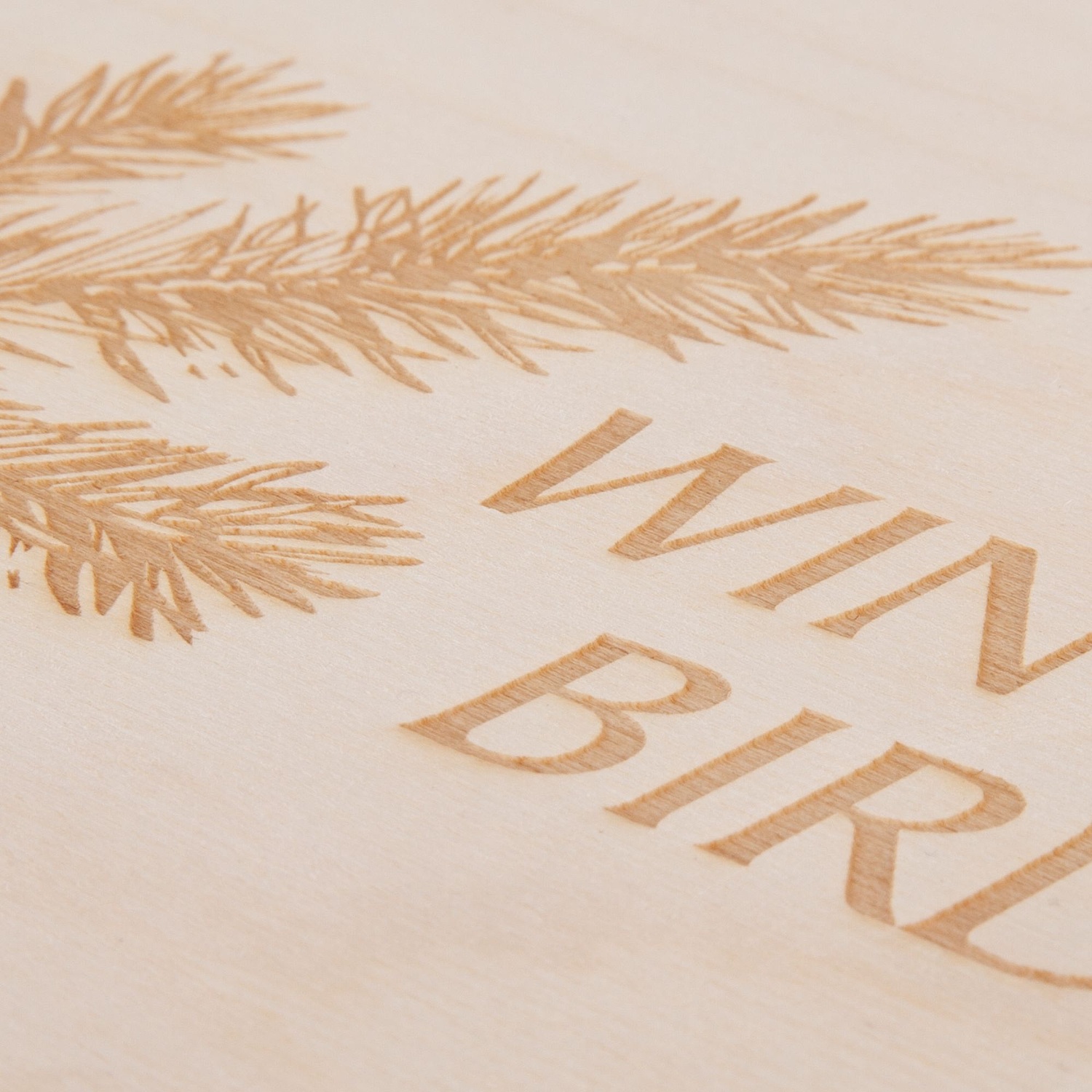 Коробка-пенал Domus с логотипом