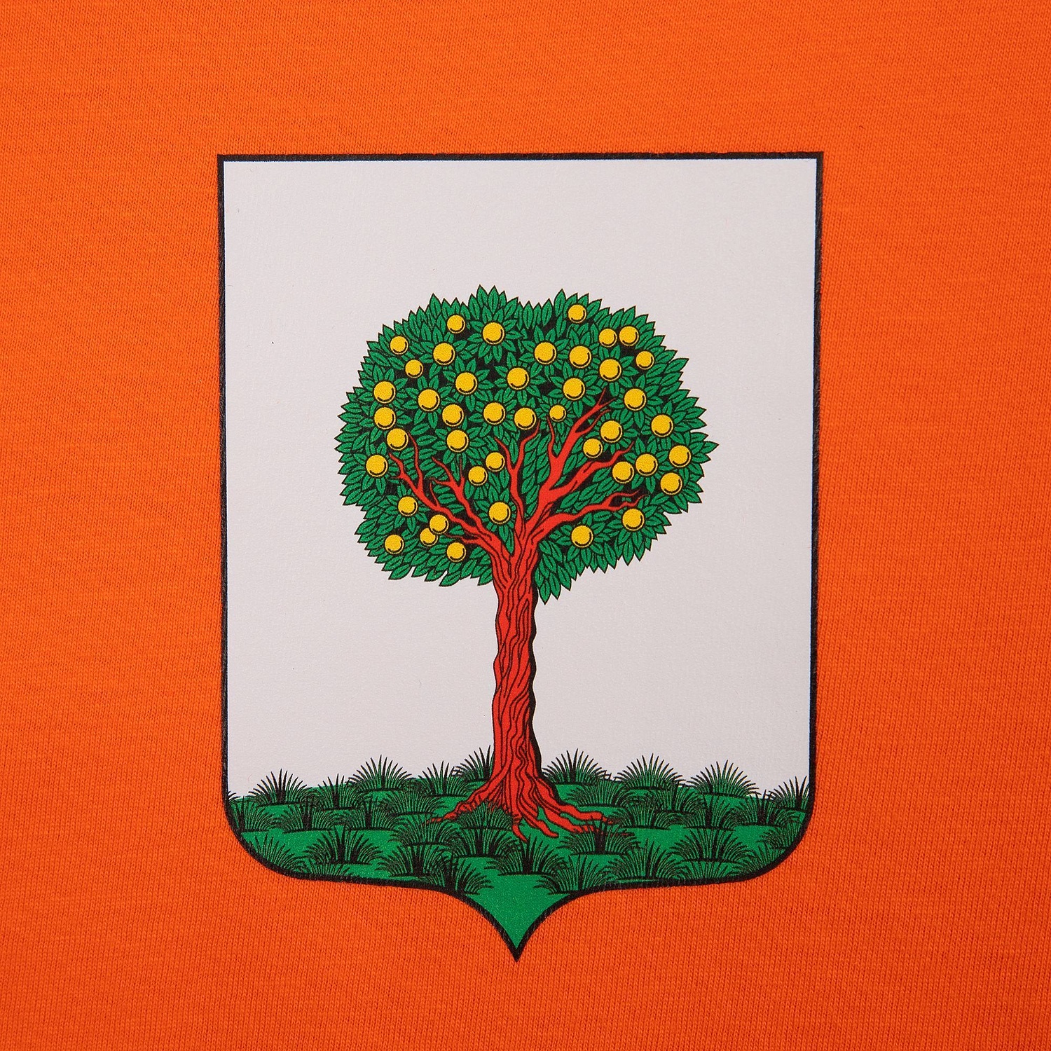 Футболка унисекс Regent 150, оранжевая с логотипом