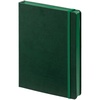 Ежедневник Factor, недатированный, зеленый с логотипом