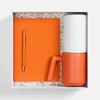 Набор Flex Shall Tea, оранжевый с логотипом