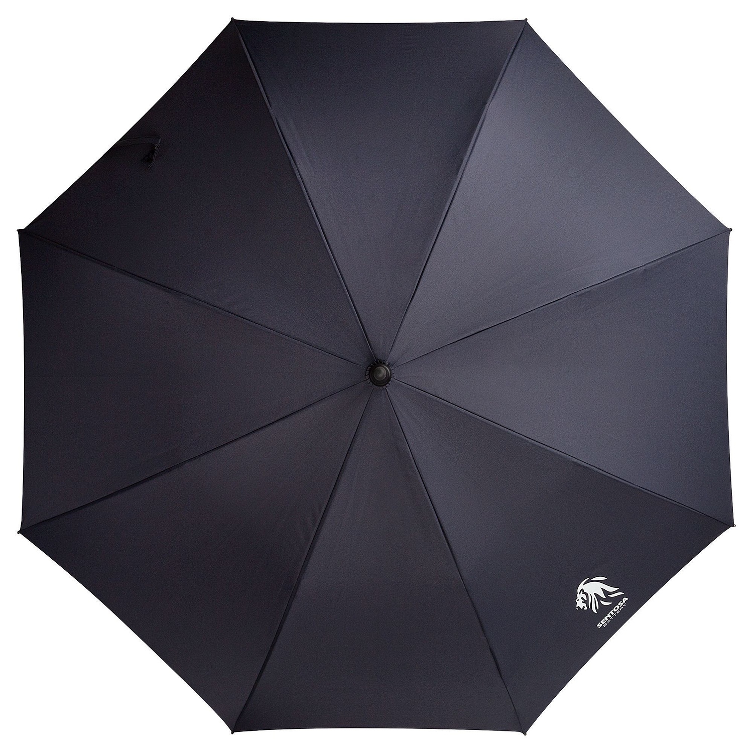 Зонт-трость Alessio, темно-синий
