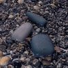 Внешний аккумулятор Pebble 7800 мАч, серый