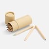 Набор цветных карандашей Pencilvania Tube с логотипом