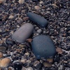 Внешний аккумулятор Pebble 7800 мАч, серый с логотипом