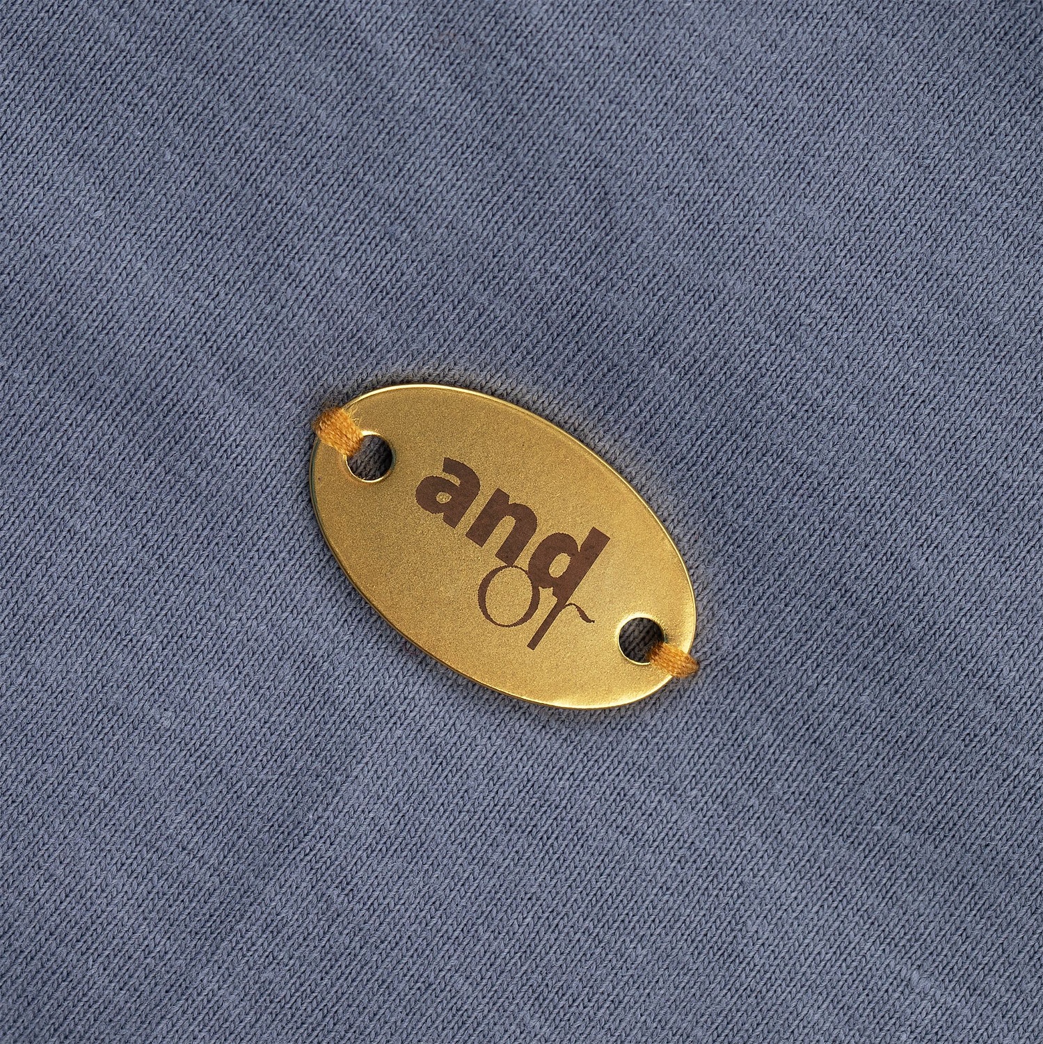 Шильдик металлический Alfa Oval, золотистый с логотипом