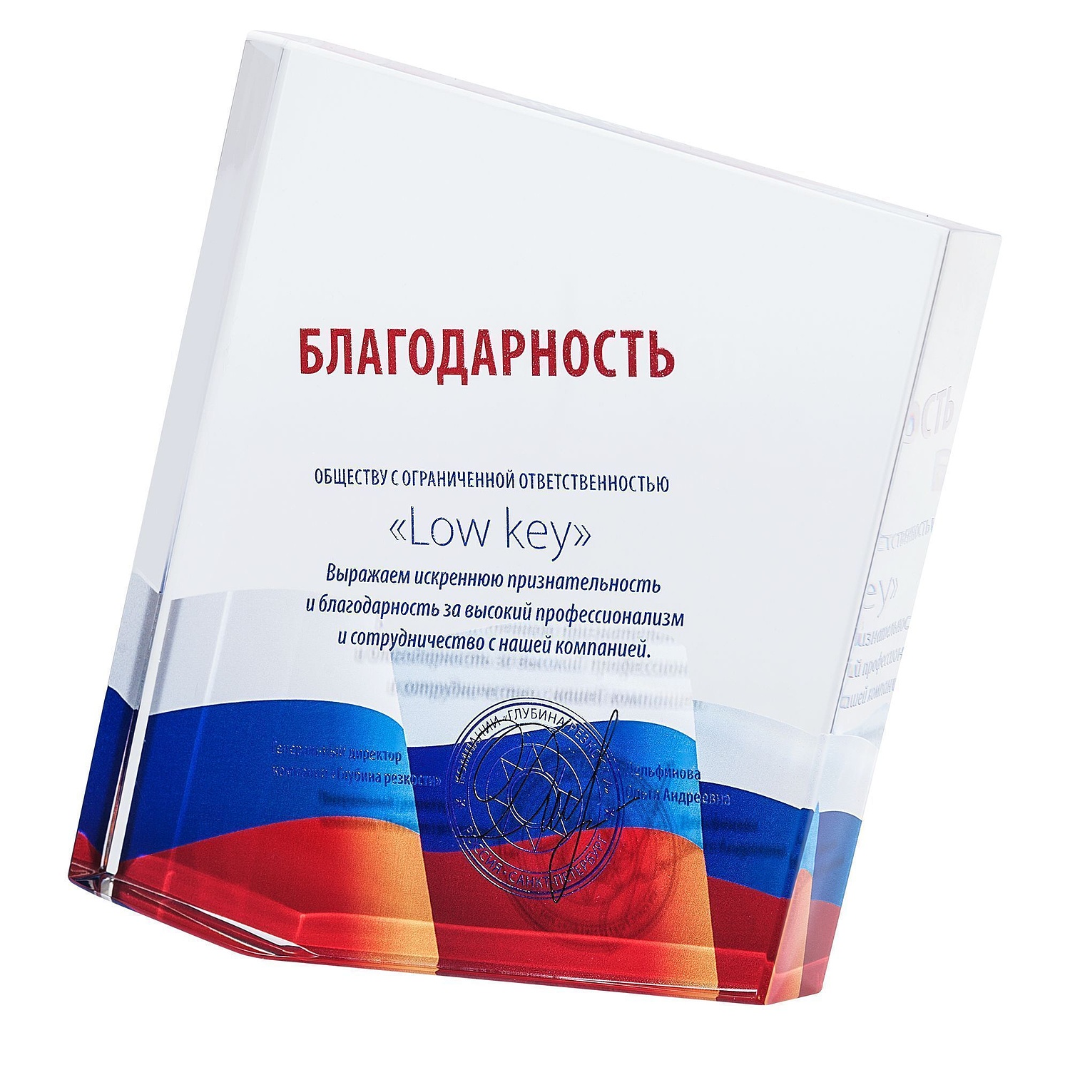 Награда «Точка опоры» с логотипом